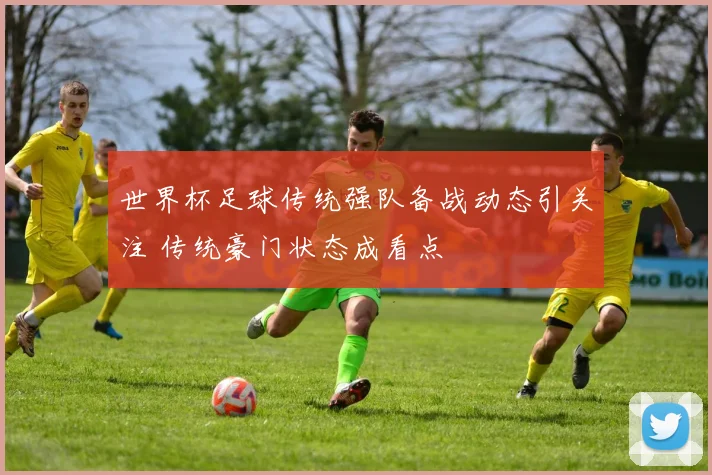 世界杯足球传统强队备战动态引关注 传统豪门状态成看点