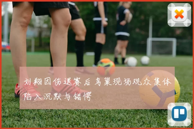 刘翔因伤退赛后鸟巢现场观众集体陷入沉默与错愕