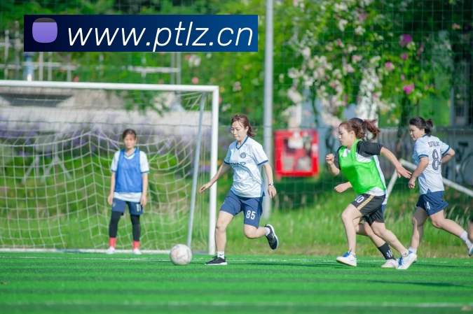 多媒体互动体验